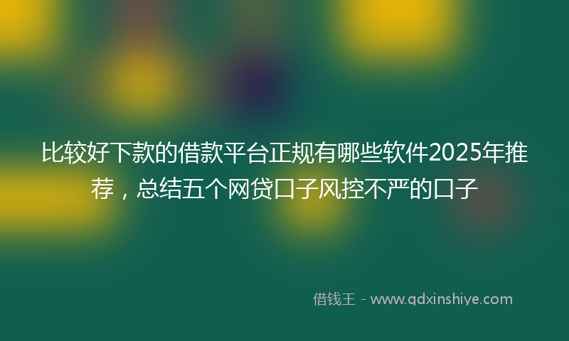 比较好下款的借款平台正规有哪些软件2025年推荐，总结五个网贷口子风控不严的口子