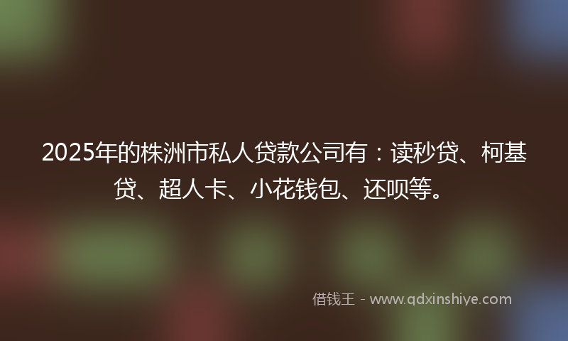 2025年的株洲市私人贷款公司有：读秒贷、柯基贷、超人卡、小花钱包、还呗等。