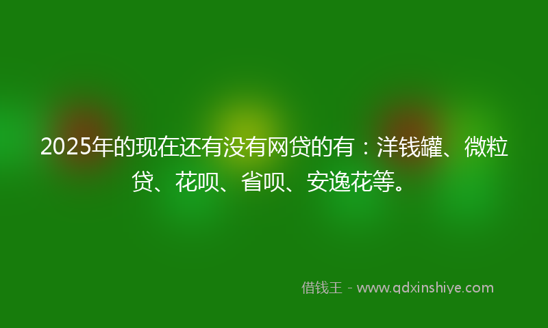 2025年的现在还有没有网贷的有：洋钱罐、微粒贷、花呗、省呗、安逸花等。