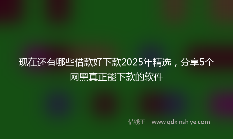 现在还有哪些借款好下款2025年精选，分享5个网黑真正能下款的软件