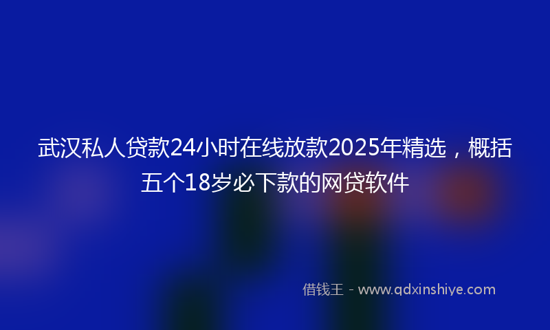 武汉私人贷款24小时在线放款2025年精选，概括五个18岁必下款的网贷软件