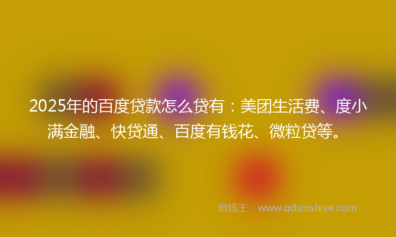 2025年的百度贷款怎么贷有：美团生活费、度小满金融、快贷通、百度有钱花、微粒贷等。