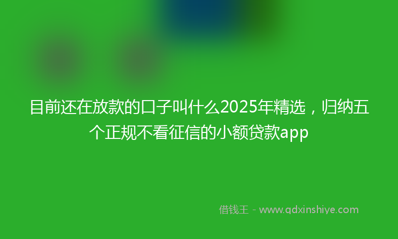 目前还在放款的口子叫什么2025年精选，归纳五个正规不看征信的小额贷款app