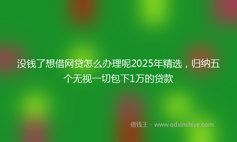 没钱了想借网贷怎么办理呢2025年精选，归纳五个无视一切包下1万的贷款