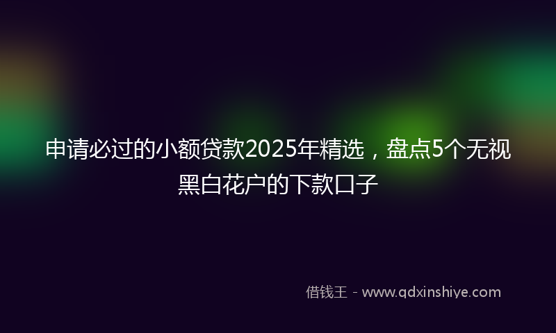 申请必过的小额贷款2025年精选，盘点5个无视黑白花户的下款口子