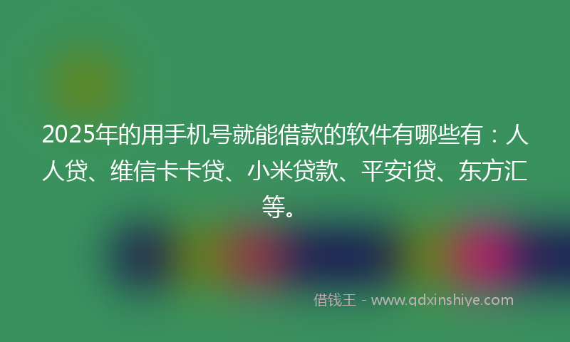 2025年的用手机号就能借款的软件有哪些有：人人贷、维信卡卡贷、小米贷款、平安i贷、东方汇等。
