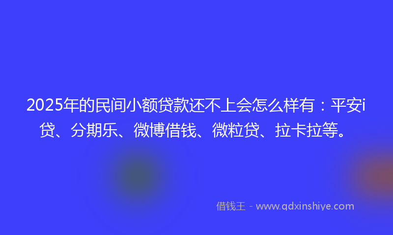 2025年的民间小额贷款还不上会怎么样有：平安i贷、分期乐、微博借钱、微粒贷、拉卡拉等。