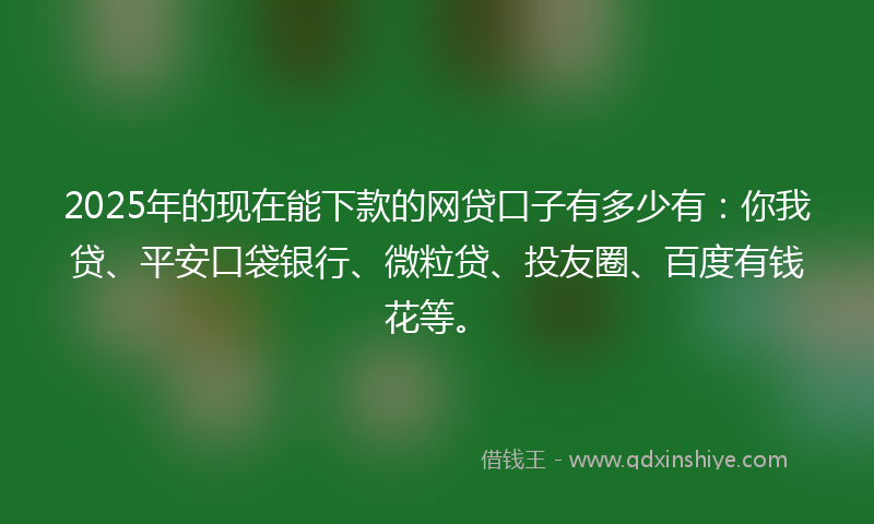 2025年的现在能下款的网贷口子有多少有：你我贷、平安口袋银行、微粒贷、投友圈、百度有钱花等。