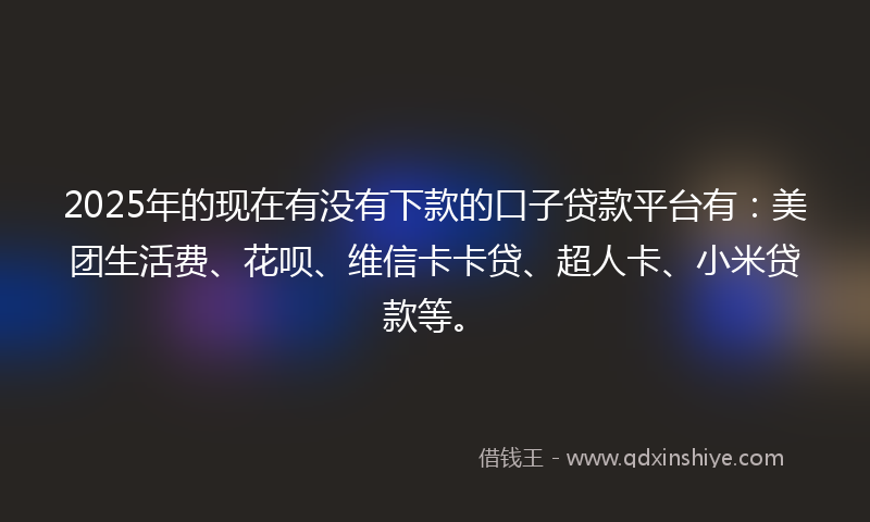 2025年的现在有没有下款的口子贷款平台有：美团生活费、花呗、维信卡卡贷、超人卡、小米贷款等。