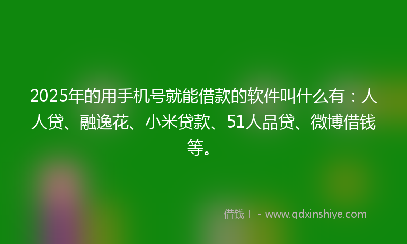 2025年的用手机号就能借款的软件叫什么有：人人贷、融逸花、小米贷款、51人品贷、微博借钱等。
