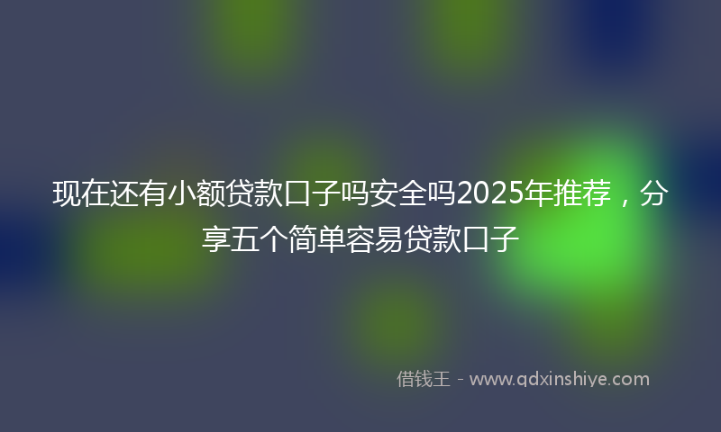 现在还有小额贷款口子吗安全吗2025年推荐，分享五个简单容易贷款口子