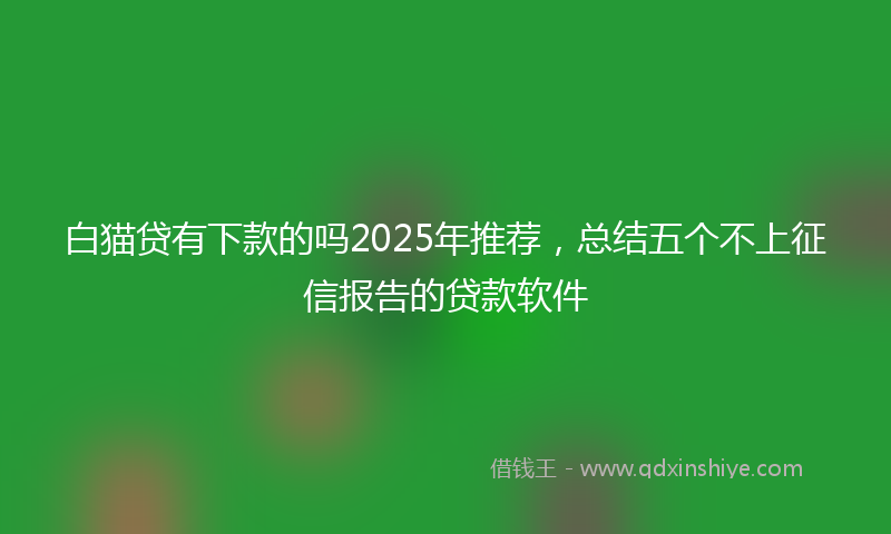 白猫贷有下款的吗2025年推荐，总结五个不上征信报告的贷款软件