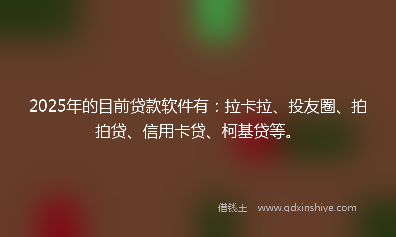 2025年的目前贷款软件有：拉卡拉、投友圈、拍拍贷、信用卡贷、柯基贷等。