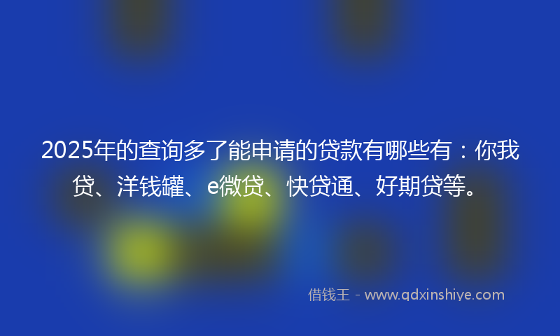 2025年的查询多了能申请的贷款有哪些有：你我贷、洋钱罐、e微贷、快贷通、好期贷等。