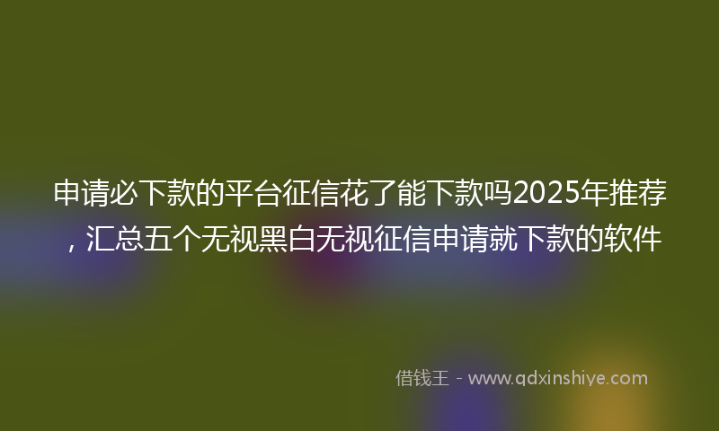 申请必下款的平台征信花了能下款吗2025年推荐，汇总五个无视黑白无视征信申请就下款的软件