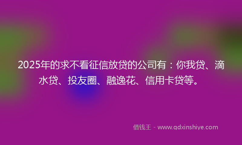 2025年的求不看征信放贷的公司有：你我贷、滴水贷、投友圈、融逸花、信用卡贷等。
