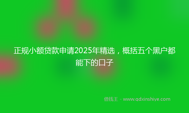 正规小额贷款申请2025年精选，概括五个黑户都能下的口子