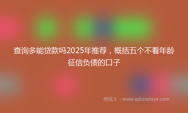 查询多能贷款吗2025年推荐，概括五个不看年龄征信负债的口子