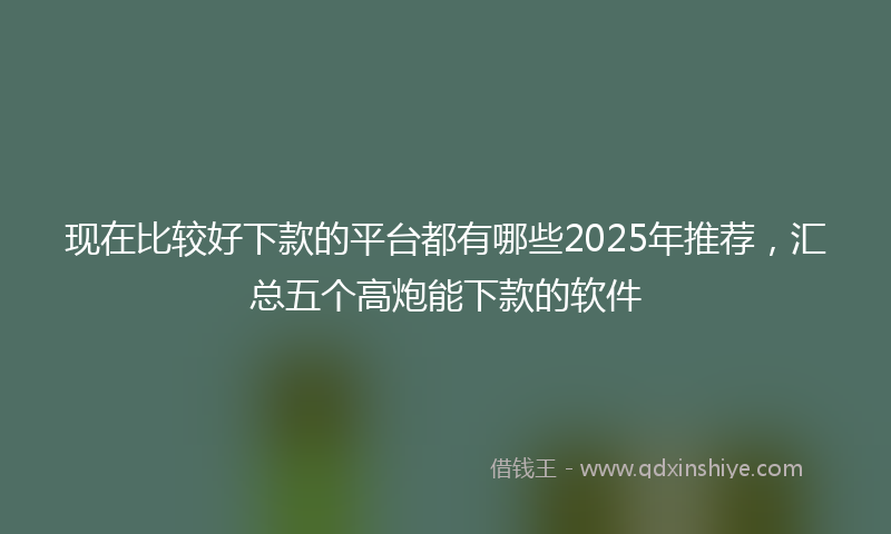 现在比较好下款的平台都有哪些2025年推荐，汇总五个高炮能下款的软件