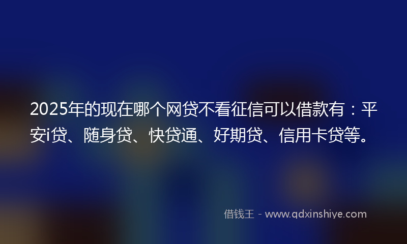 2025年的现在哪个网贷不看征信可以借款有：平安i贷、随身贷、快贷通、好期贷、信用卡贷等。