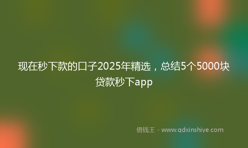 现在秒下款的口子2025年精选，总结5个5000块贷款秒下app
