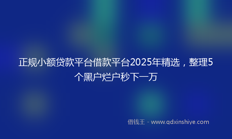 正规小额贷款平台借款平台2025年精选，整理5个黑户烂户秒下一万
