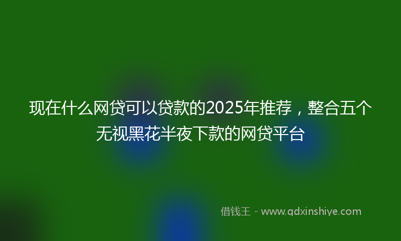 现在什么网贷可以贷款的2025年推荐，整合五个无视黑花半夜下款的网贷平台