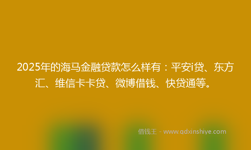 2025年的海马金融贷款怎么样有：平安i贷、东方汇、维信卡卡贷、微博借钱、快贷通等。