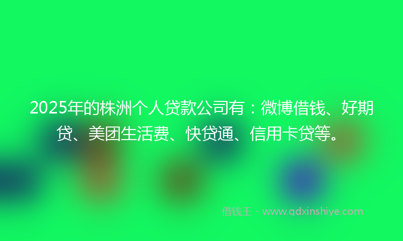 2025年的株洲个人贷款公司有：微博借钱、好期贷、美团生活费、快贷通、信用卡贷等。