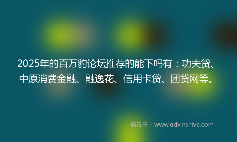 2025年的百万豹论坛推荐的能下吗有：功夫贷、中原消费金融、融逸花、信用卡贷、团贷网等。