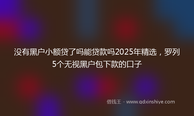 没有黑户小额贷了吗能贷款吗2025年精选，罗列5个无视黑户包下款的口子