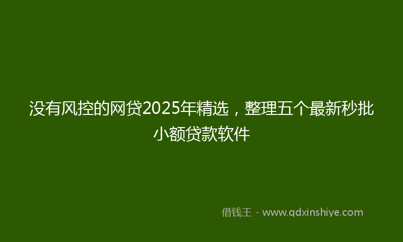 没有风控的网贷2025年精选，整理五个最新秒批小额贷款软件
