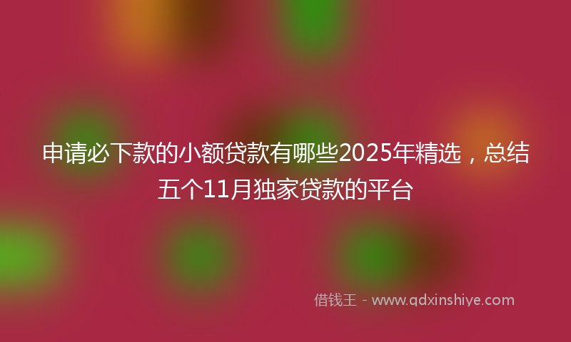 申请必下款的小额贷款有哪些2025年精选，总结五个11月独家贷款的平台