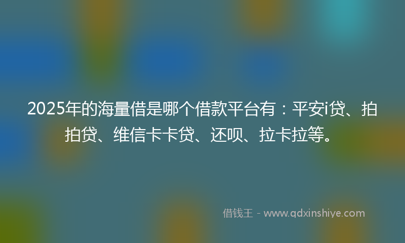 2025年的海量借是哪个借款平台有：平安i贷、拍拍贷、维信卡卡贷、还呗、拉卡拉等。