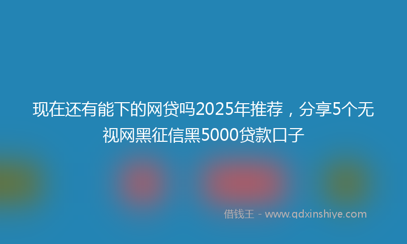 现在还有能下的网贷吗2025年推荐，分享5个无视网黑征信黑5000贷款口子