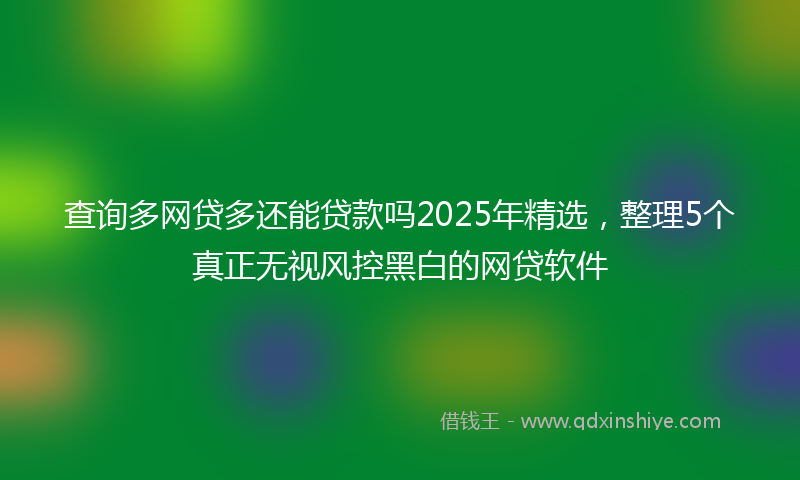 查询多网贷多还能贷款吗2025年精选，整理5个真正无视风控黑白的网贷软件