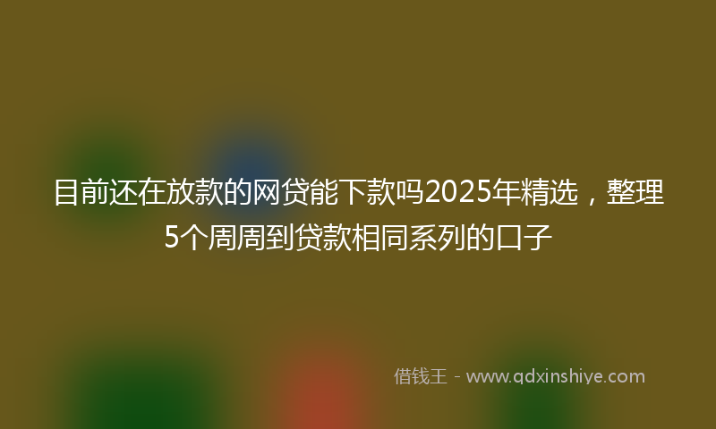 目前还在放款的网贷能下款吗2025年精选，整理5个周周到贷款相同系列的口子