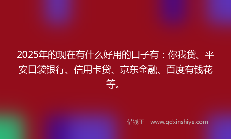 2025年的现在有什么好用的口子有：你我贷、平安口袋银行、信用卡贷、京东金融、百度有钱花等。