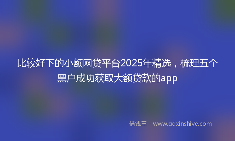 比较好下的小额网贷平台2025年精选，梳理五个黑户成功获取大额贷款的app