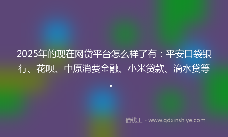 2025年的现在网贷平台怎么样了有：平安口袋银行、花呗、中原消费金融、小米贷款、滴水贷等。