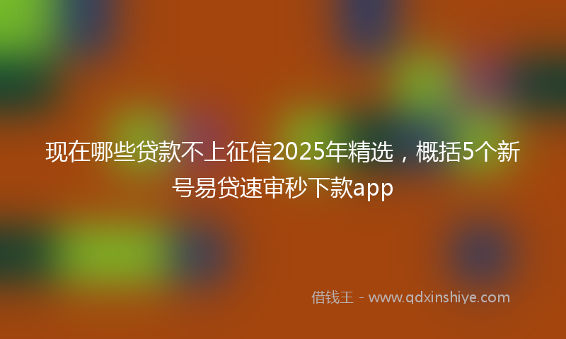 现在哪些贷款不上征信2025年精选，概括5个新号易贷速审秒下款app