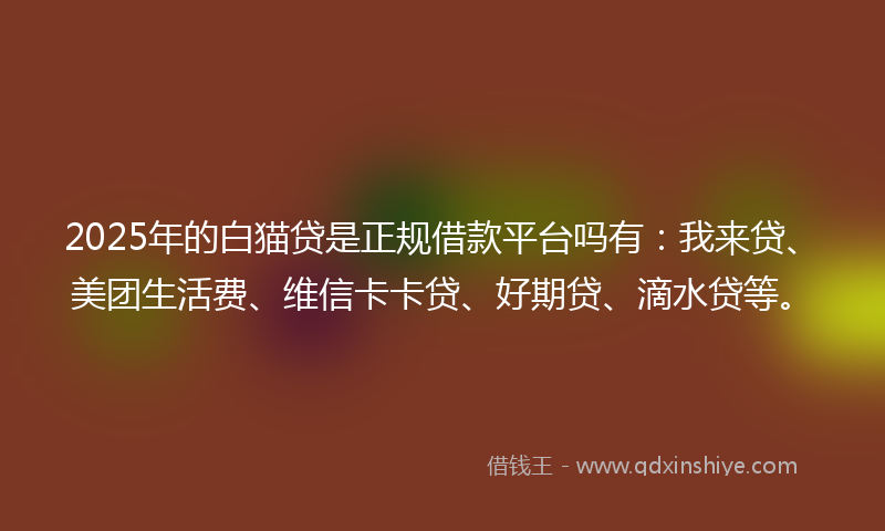 2025年的白猫贷是正规借款平台吗有：我来贷、美团生活费、维信卡卡贷、好期贷、滴水贷等。