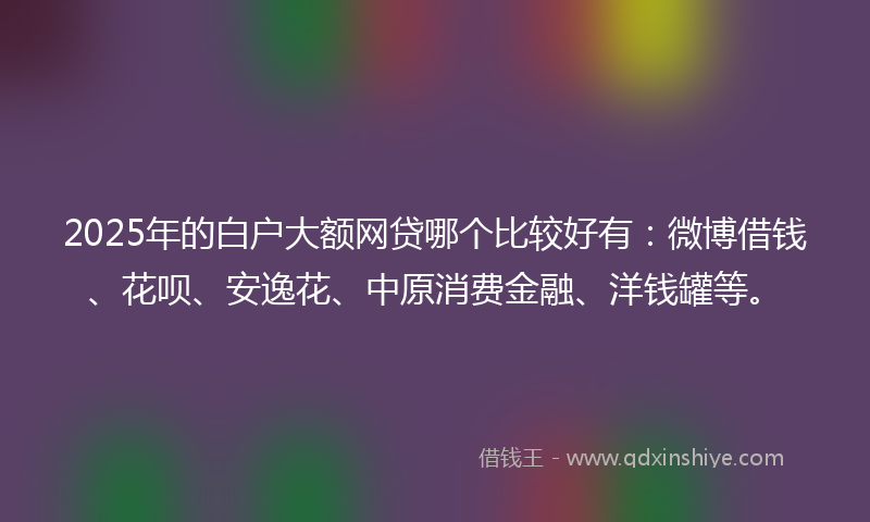 2025年的白户大额网贷哪个比较好有：微博借钱、花呗、安逸花、中原消费金融、洋钱罐等。