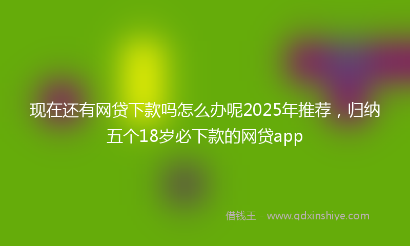 现在还有网贷下款吗怎么办呢2025年推荐，归纳五个18岁必下款的网贷app