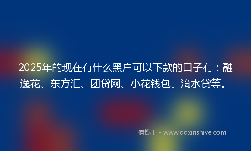 2025年的现在有什么黑户可以下款的口子有：融逸花、东方汇、团贷网、小花钱包、滴水贷等。