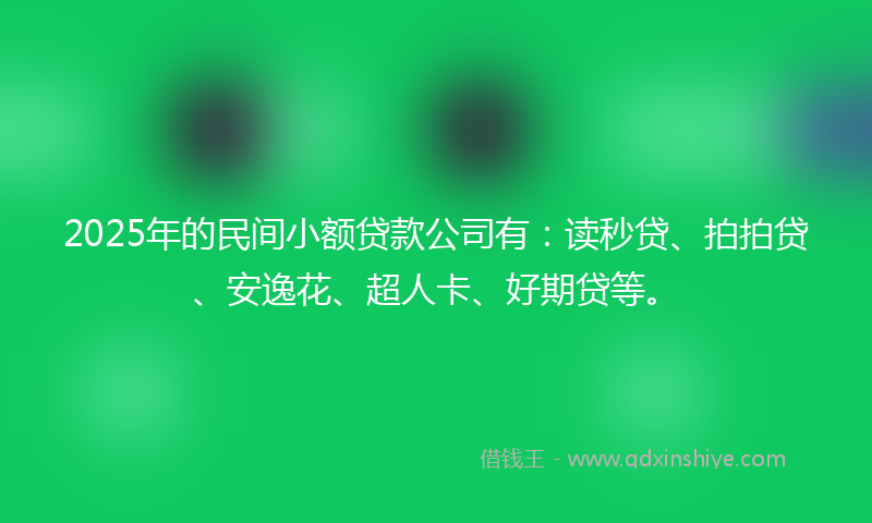 2025年的民间小额贷款公司有：读秒贷、拍拍贷、安逸花、超人卡、好期贷等。