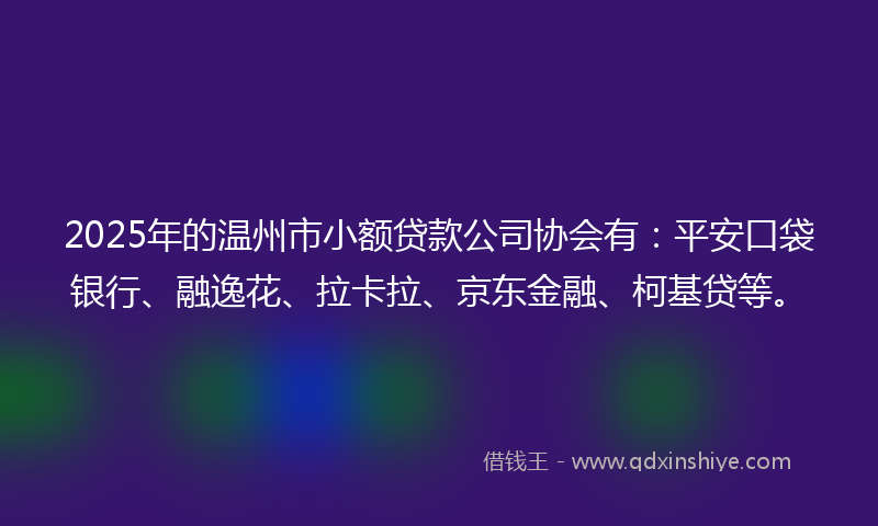 2025年的温州市小额贷款公司协会有：平安口袋银行、融逸花、拉卡拉、京东金融、柯基贷等。