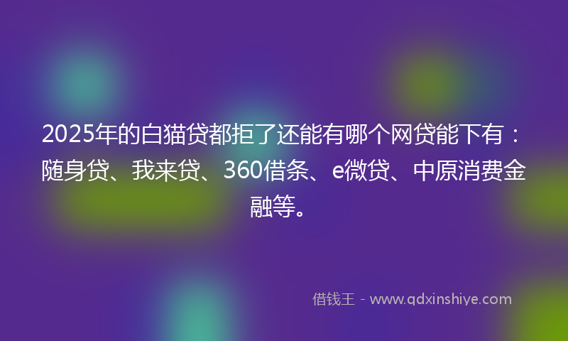 2025年的白猫贷都拒了还能有哪个网贷能下有：随身贷、我来贷、360借条、e微贷、中原消费金融等。