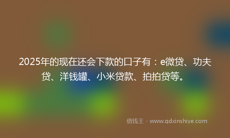 2025年的现在还会下款的口子有：e微贷、功夫贷、洋钱罐、小米贷款、拍拍贷等。