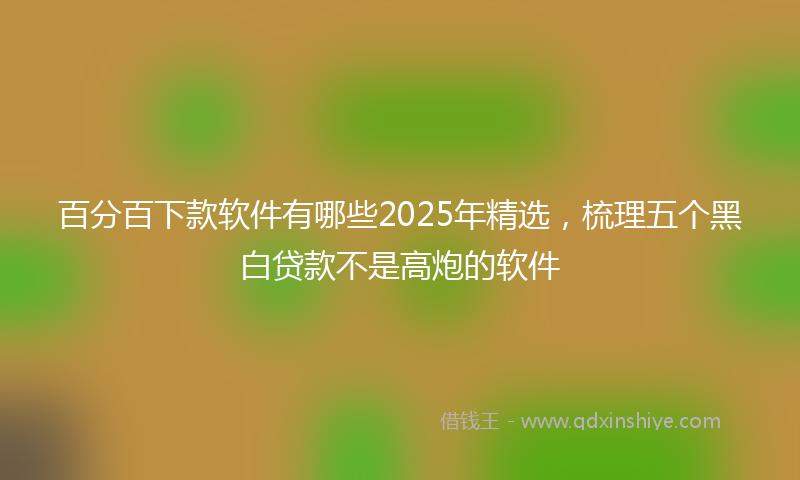 百分百下款软件有哪些2025年精选，梳理五个黑白贷款不是高炮的软件